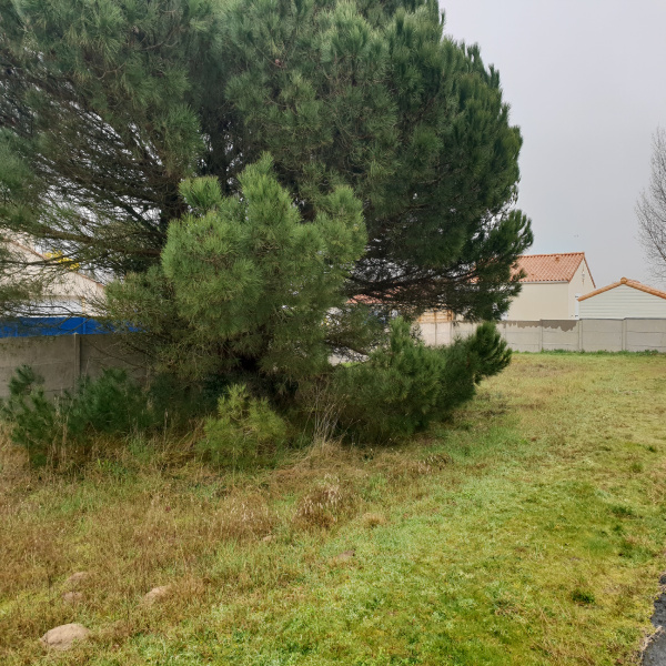 Offres de vente Terrain L'Aiguillon-sur-Mer 85460