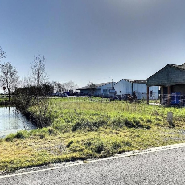 Offres de vente Terrain Triaize 85580
