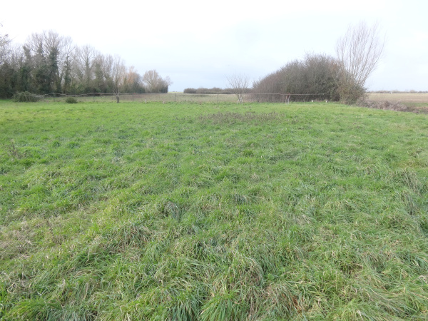 Offres de vente Terrain Saint-Michel-en-l'Herm 85580