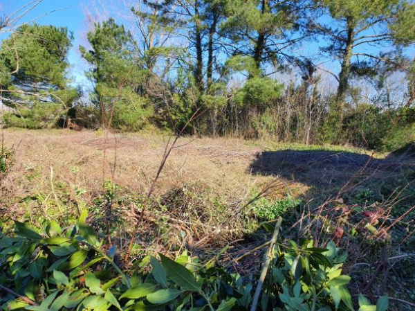 Offres de vente Terrain La Faute-sur-Mer 85460